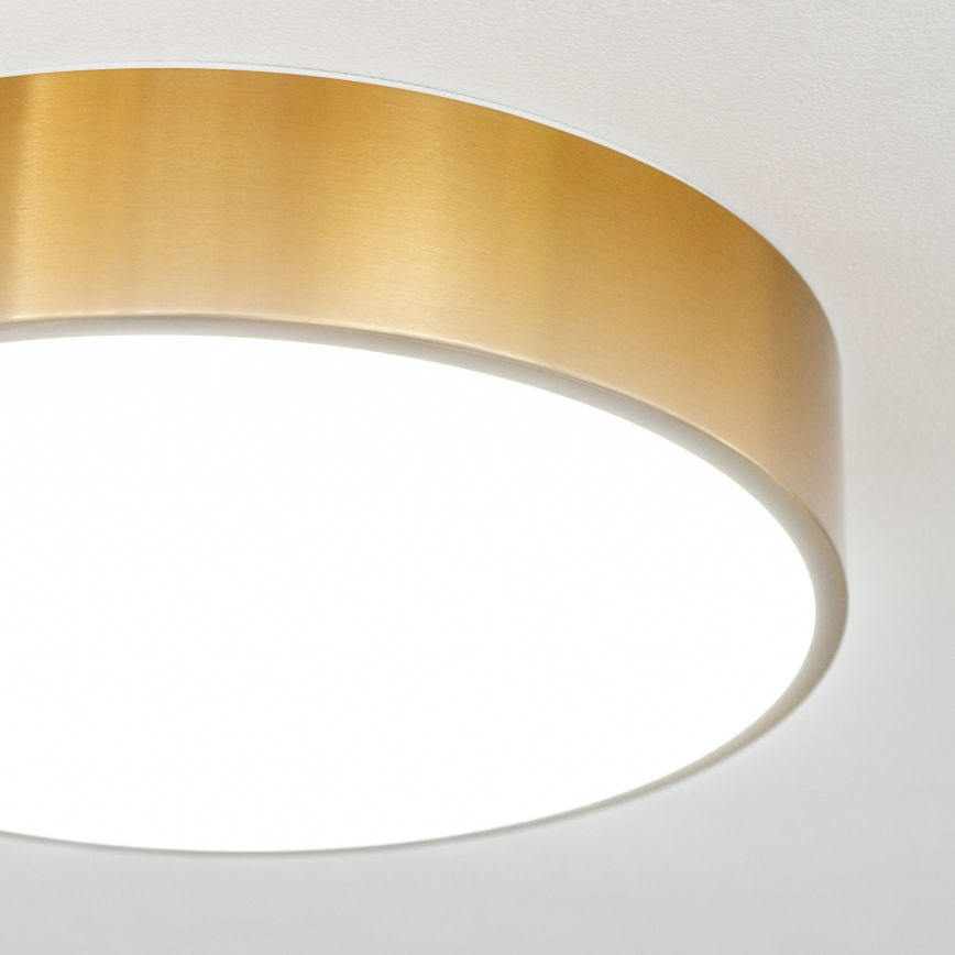 Brilagi - Lampa sufitowa LED do łazienki POOL LED/24W/230V 3000/4000/5500K śr. 30 cm IP54 brąz