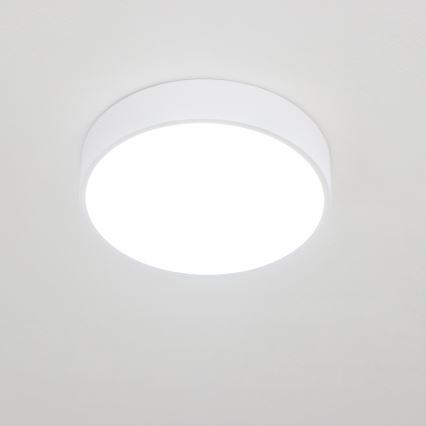 Brilagi - LED plafon łazienkowy POOL LED/24W/230V 3000/4000/5500K Ø 30 cm IP54 biały