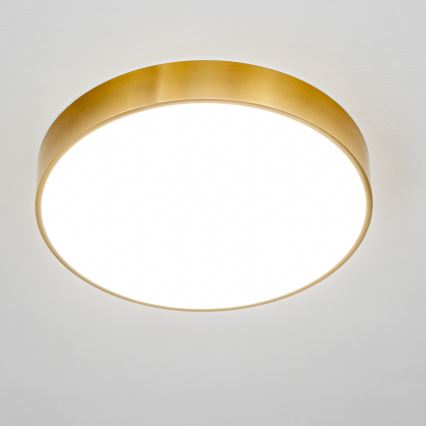 Brilagi - LED oprawa sufitowa do łazienki POOL LED/36W/230V 3000/4000/5500K śr. 40 cm IP54 brąz