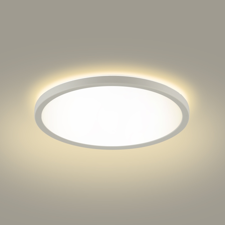 Brilagi - LED Plafon łazienkowy ULTRA SLIM LED/12W/230V śr. 22,5 cm biały IP54