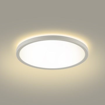 Brilagi - LED Plafon łazienkowy ULTRA SLIM LED/24W/230V 42x42 cm biały IP54