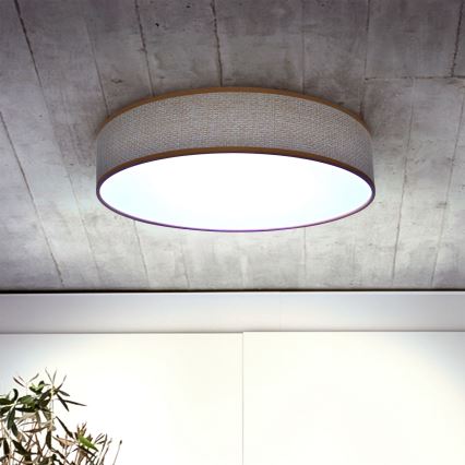 Brilagi - LED Plafon ściemnialny CARMEN LED/48W/230V 3000-6500K śr. 40 cm + pilot zdalnego sterowania