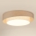 Brilagi - LED Plafon ściemnialny DOVER SHINE LED/24W/230V 3000/4000/6500K szary/kremowy + pilot zdalnego sterowania
