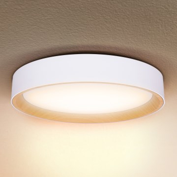 Brilagi - LED Plafon ściemnialny LARIOS LED/60W/230V 3000-6500K ø 49 cm biały + pilot zdalnego sterowania