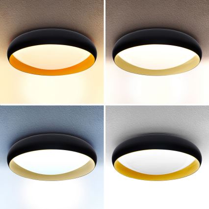 Brilagi - LED Plafon ściemnialny LIVIA LED/48W/230V 3000-6500K śr. 42 cm + pilot zdalnego sterowania