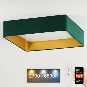 Brilagi - LED Plafon ściemnialny VELVET SQUARE SMART LED/36W/230V 2700-6500K Wi-Fi Tuya + Pilot zdalnego sterowania zielony