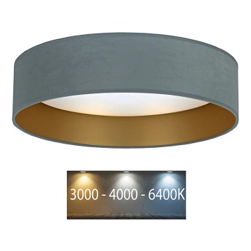 Brilagi - LED Plafon VELVET LED/12W/230V śr. 30 cm 3000K/4000K/6400K miętowy/złoty