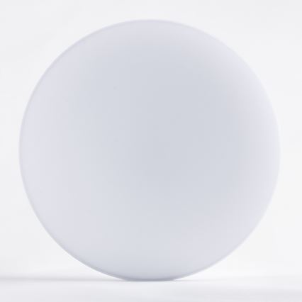 Brilagi - LED Plafon VESTAS LED/12W/230V 4000K IP54