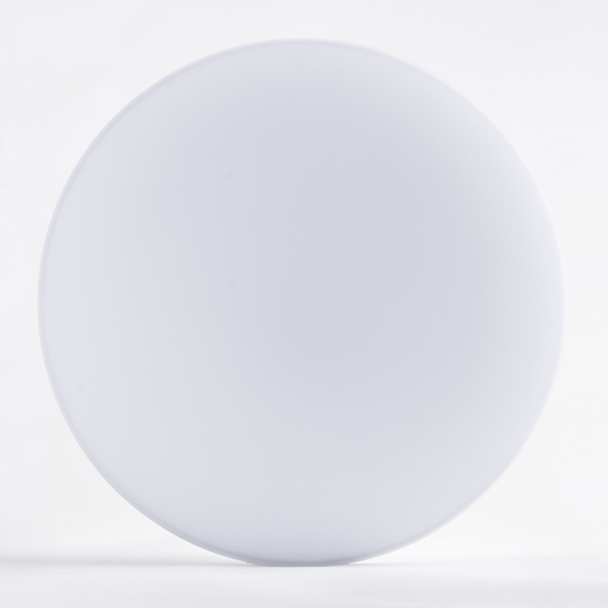 Brilagi - LED Plafon VESTAS LED/12W/230V 4000K IP54