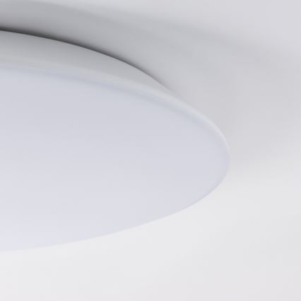 Brilagi - LED Plafon VESTAS LED/18W/230V 4000K IP54