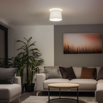 Brilagi - LED Przysufitowy żyrandol CERIA 1xE27/40W/230V śr. 30 cm biały