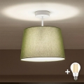 Brilagi - LED Przysufitowy żyrandol CERIA 1xE27/60W/230V Ø 30 cm biały/zielony