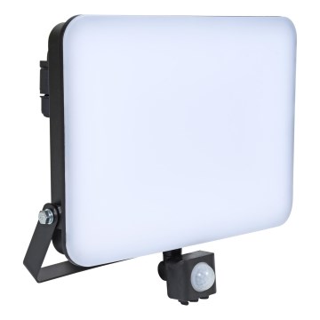 Brilagi - LED Reflektor z czujnikiem ELARA PRO LED/100W/230V IP65