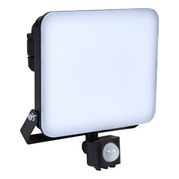 Brilagi - LED Reflektor z czujnikiem ELARA PRO LED/50W/230V IP65