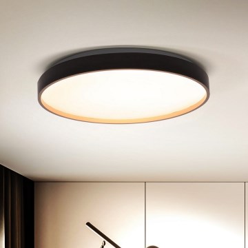 Brilagi - LED Regulowane oświetlenie sufitowe CALA LED/48W/230V 3000-6500K śr. 38 cm + pilot do zdalnego sterowania