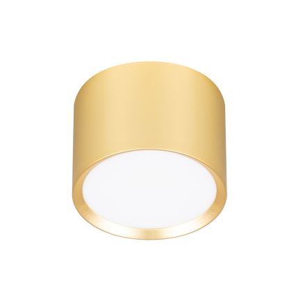 Brilagi - LED RGB+CCT ściemnialna oprawa punktowa SMOOTH 1xGX53/14W/230V 2700-6500K Wi-Fi Tuya złota