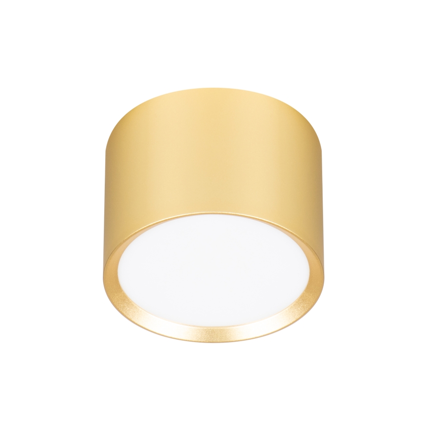 Brilagi - LED RGB+CCT ściemnialna oprawa punktowa SMOOTH 1xGX53/14W/230V 2700-6500K Wi-Fi Tuya złota