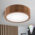 BRILAGI - LED RGBW ściemnialna lampa sufitowa CARVALHO 1xE27/12W/230V 2700-6500K dąb śr. 27,5 cm