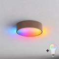 BRILAGI - LED RGBW Ściemnialna lampa sufitowa CLARE 1xE27/12W/230V śr. 20 cm brązowa