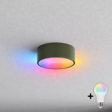 BRILAGI - LED RGBW ściemnialna lampa sufitowa CLARE 1xE27/12W/230V śr. 20 cm khaki