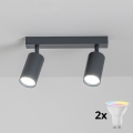 Brilagi - LED RGBW ściemnialna oprawa punktowa SELE 2xGU10/4,8W/230V 3000K antracyt + pilot zdalnego sterowania