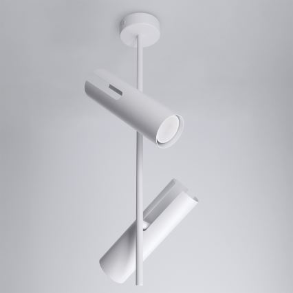 Brilagi - LED RGBW ściemnialna lampa sufitowa na pręcie BRANCH 2xGU10/6,5W/230V 2700-6500K biała