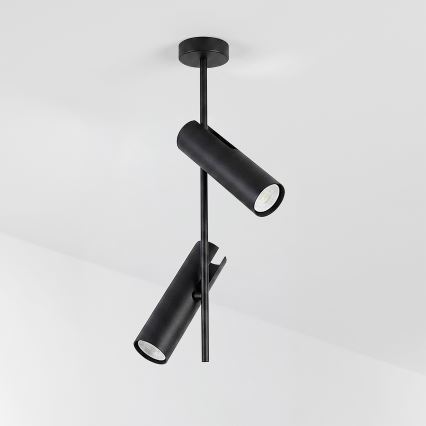 Brilagi - LED RGBW ściemnialny żyrandol na pręcie BRANCH 2xGU10/6,5W/230V 2700-6500K czarny