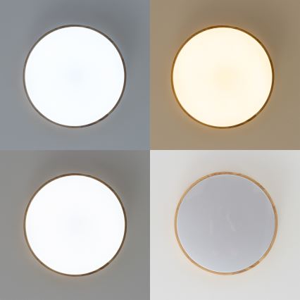Brilagi - LED Ściemiany plafon PINE LED/60W/230V + pilot