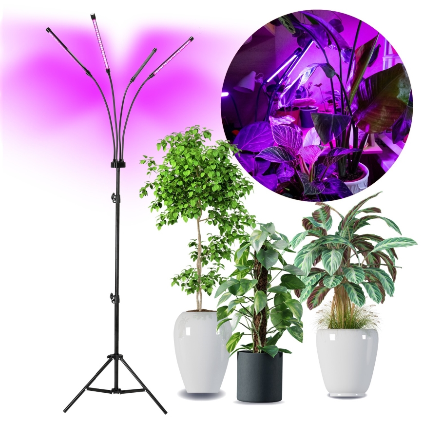 Brilagi - LED Ściemn. elast. lampa podłogowa do uprawy roślin VITABLOOM 4xLED/7,5W/230V czarny