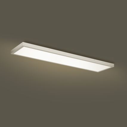 Brilagi - Ściemnialna lampa sufitowa do łazienki FRAME SMART LED/50W/230V 120x30 cm 3000-6000K IP44 srebrna + pilot zdalnego sterowania