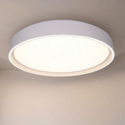 Brilagi - ściemnialna lampa sufitowa NANCI LED/60W/230V 3000-6500K śr. 49 cm biała + pilot zdalnego sterowania