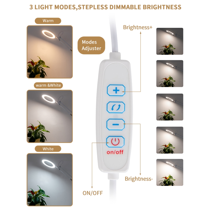 Brilagi - LED Ściemnialna lampa stołowa ze szkłem powiększającym LED/12W/5V 3000/4200/6000K biała