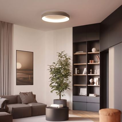 BRILAGI - LED Ściemnialna lampa sufitowa FALCON II LED/99W/230V 3000-6500K śr. 60 cm biały/beżowy + zdalne sterowanie