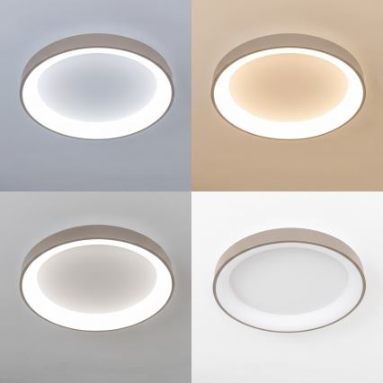 BRILAGI - LED Ściemnialna lampa sufitowa FALCON II LED/99W/230V 3000-6500K śr. 60 cm biały/beżowy + zdalne sterowanie