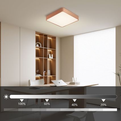 Brilagi - LED ściemnialna oprawa sufitowa POOL LED/36W/230V 3000-6000K 40x40 cm brązowa + pilot zdalnego sterowania