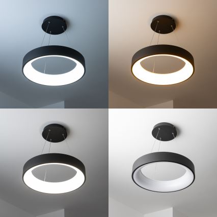 Brilagi - LED ściemnialny żyrandol na linkach FALCON LED/80W/230V 3000-6500K śr. 60 cm czarny + zdalne sterowanie