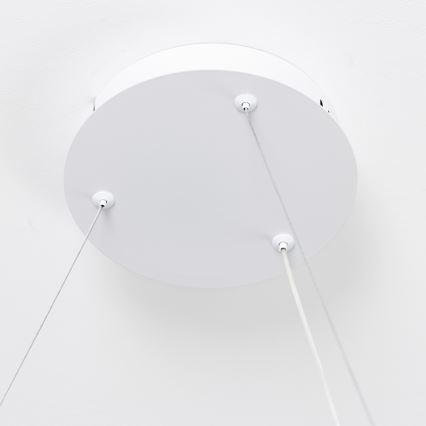 Brilagi - Ściemnialna lampa wisząca LED na linkach FALCON SLIM LED/42W/230V 3000-6500K śr. 50 cm biała + pilot zdalnego sterowania