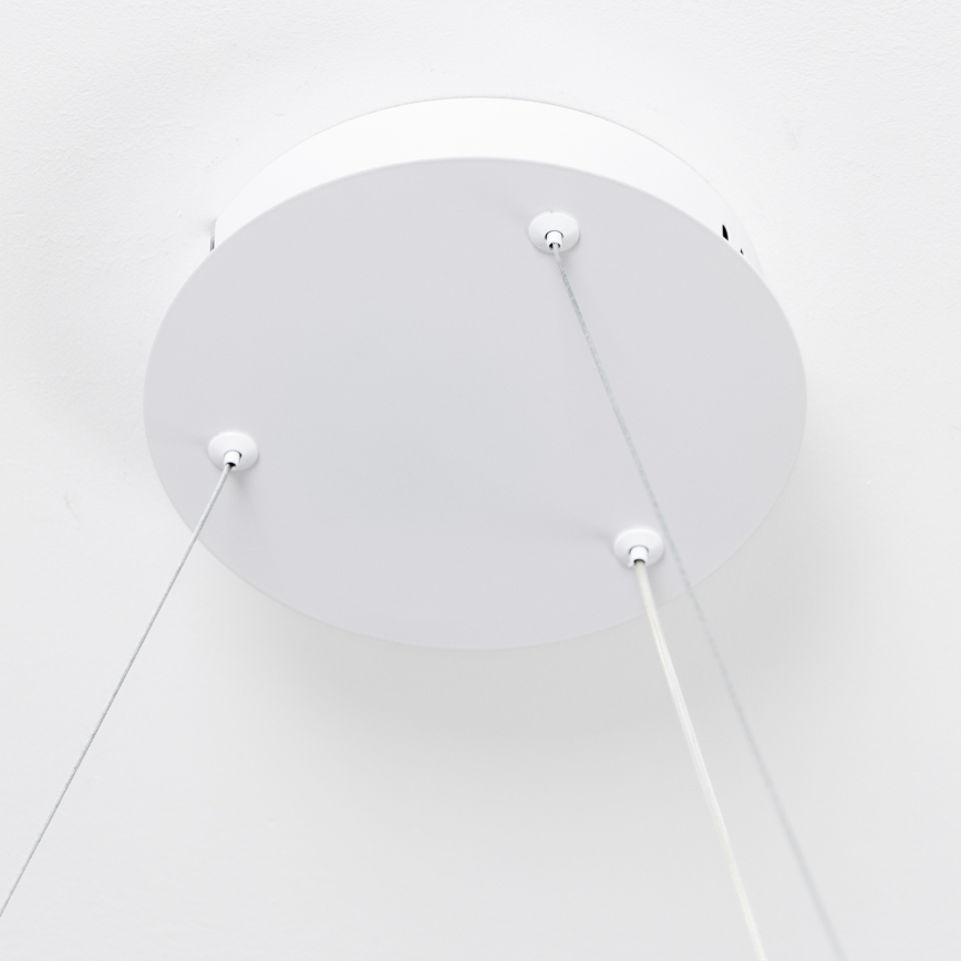 Brilagi - Ściemnialna lampa wisząca LED na linkach FALCON SLIM LED/42W/230V 3000-6500K śr. 50 cm biała + pilot zdalnego sterowania