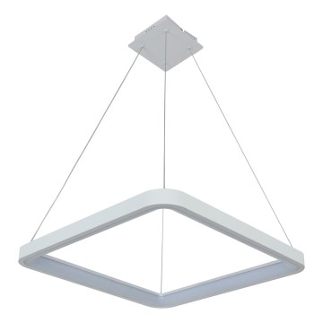 Brilagi - LED ściemnialna lampa wisząca na lince FALCON SLIM LED/50W/230V 3000-6500K 50x50 cm biała + pilot zdalnego sterowania