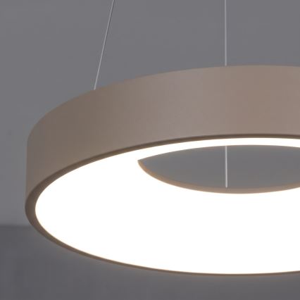 BRILAGI - LED ściemnialny żyrandol na lince FALCON II LED/67W/230V 3000-6500K Ø 40 cm beżowy + pilot zdalnego sterowania
