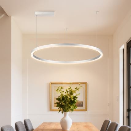Brilagi - Ściemnialny żyrandol na linkach PORTOFINO LED/60W/230V 3000-6000K śr. 80 cm srebrny + pilot zdalnego sterowania