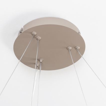 BRILAGI - LED ściemnialny żyrandol na lince FALCON SLIM LED/68W/230V 3000-6500K Ø 50 cm beżowy + pilot zdalnego sterowania