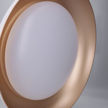 Brilagi - LED ściemnialna lampa sufitowa ALVA LED/48W/230V 3000-6500K Ø 51 cm biała + pilot zdalnego sterowania