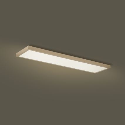 Brilagi - LED ściemnialna łazienkowa lampa sufitowa FRAME SMART LED/50W/230V 120x30 cm 3000-6000K IP44 beżowa + pilot zdalnego sterowania