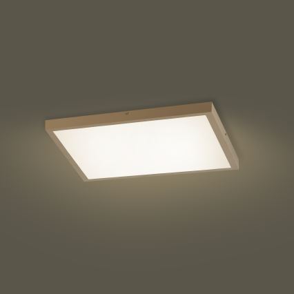 Brilagi - ściemnialna lampa sufitowa LED do łazienki FRAME SMART LED/50W/230V 60x60 cm 3000-6000K IP44 beżowa + pilot zdalnego sterowania