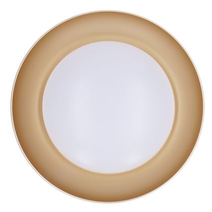 Brilagi - Ściemnialna lampa sufitowa ALVA LED/48W/230V 3000-6500K Ø 51 cm czarna + pilot zdalnego sterowania