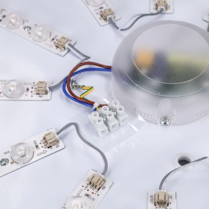Brilagi - ściemnialna lampa sufitowa LED PILANA LED/72W/230V 3000-6500K dąb/czarny śr. 80 cm + pilot zdalnego sterowania
