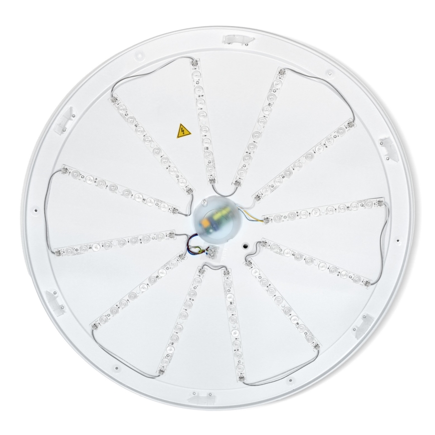 Brilagi - ściemnialna lampa sufitowa LED PILANA LED/72W/230V 3000-6500K dąb/czarny śr. 80 cm + pilot zdalnego sterowania