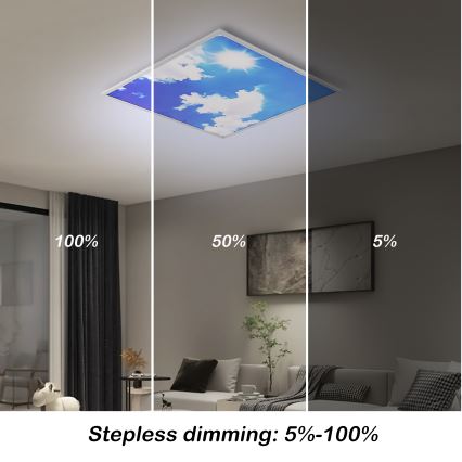 Brilagi - Ściemnialna lampa sufitowa LED SLIMFRAME SKY LED/58W/230V 60x60 cm 3000-6000K srebrna/niebieska + pilot zdalnego sterowania