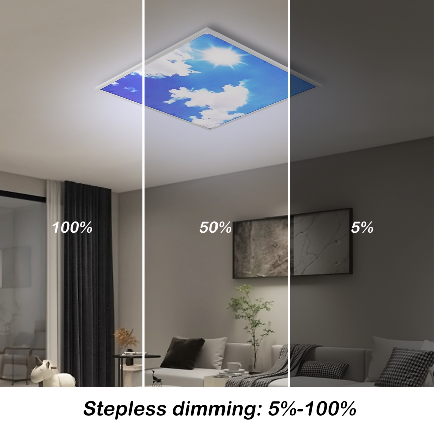 Brilagi - Ściemnialna lampa sufitowa LED SLIMFRAME SKY LED/58W/230V 60x60 cm 3000-6000K srebrna/niebieska + pilot zdalnego sterowania